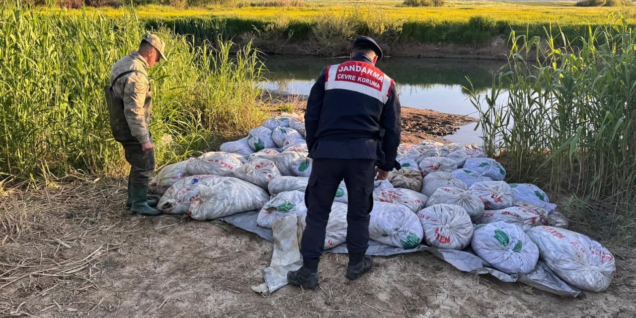 Van'da son 1 haftada 22 ton 475 kilogram inci kefali ele geçirildi