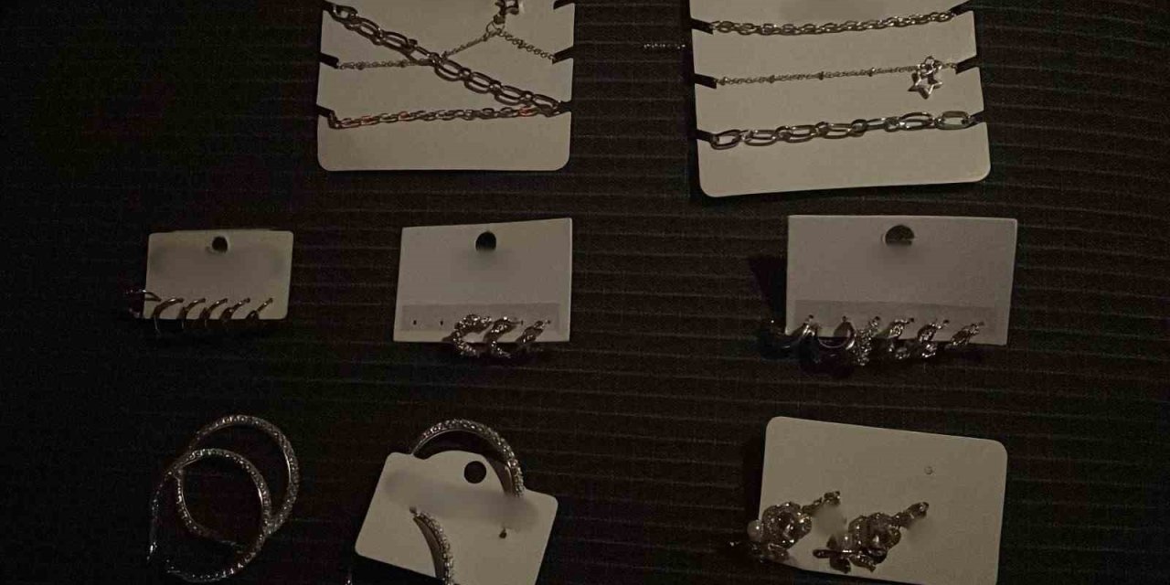 Van’da farklı suçlardan 110 kişi tutuklandı