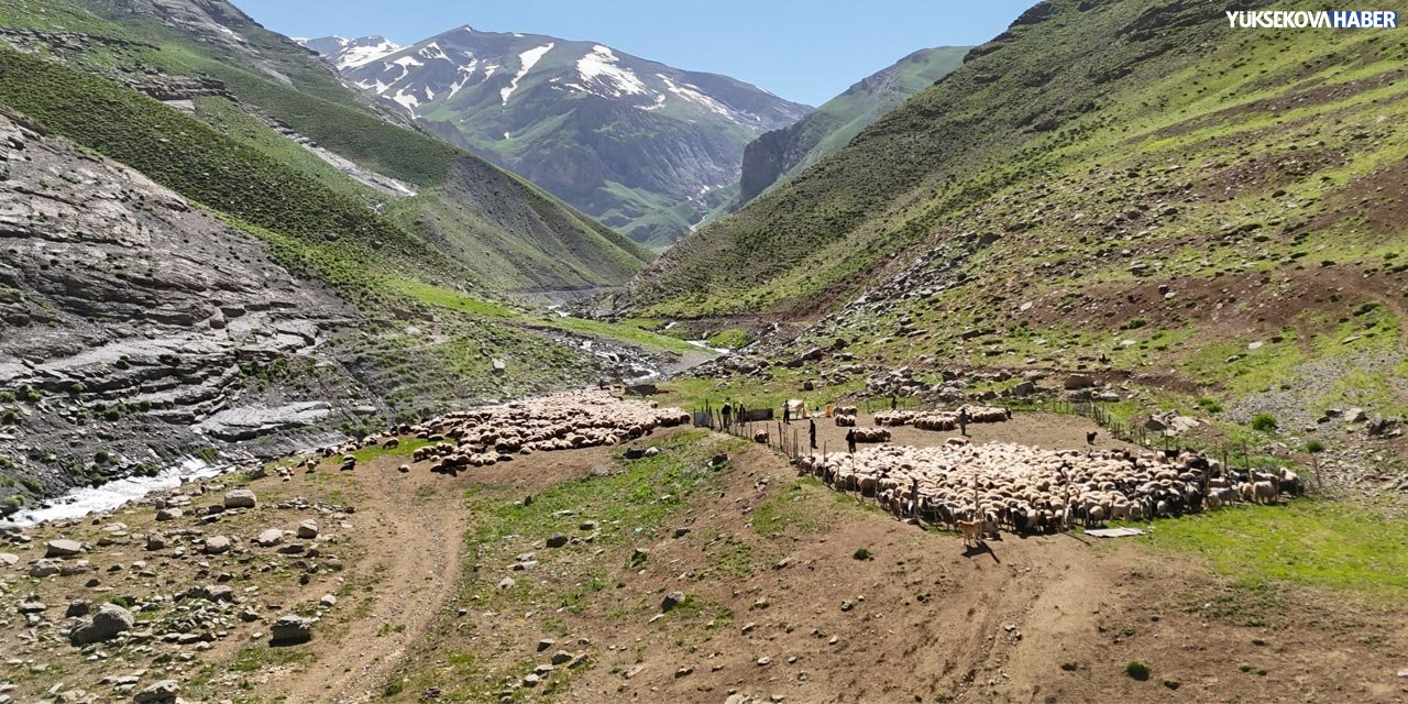 Yayla yolları berivanlara engel oldu
