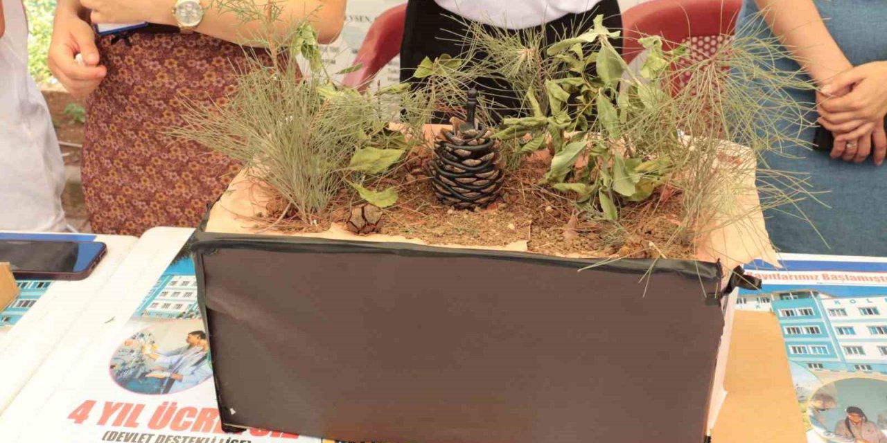 Şırnak'ta "Yakan Değil Söndüren Kozalak Projesi"