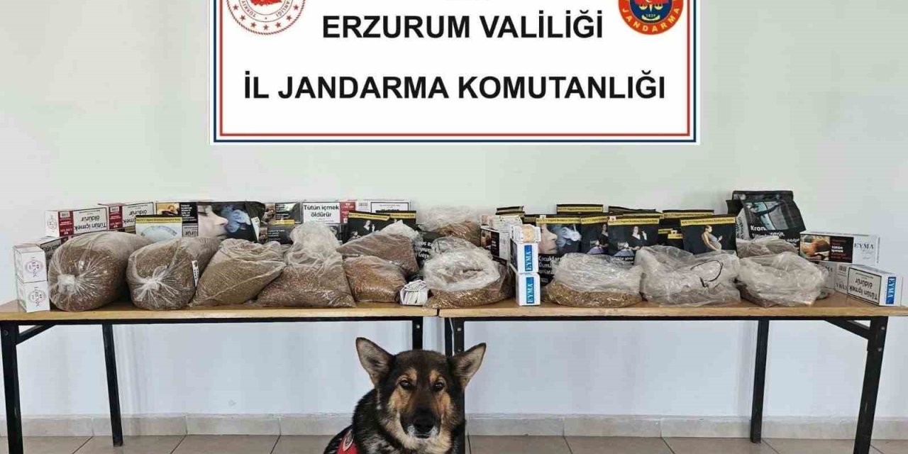 Erzurum'da tütün operasyonu