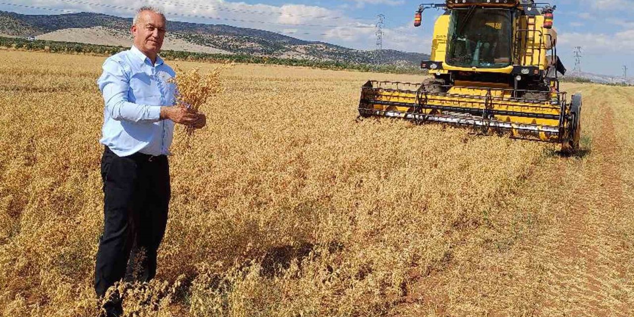 Araban Ovası’nda nohut hasadı