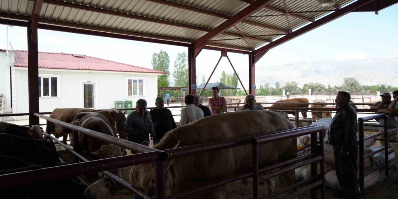 Erzincan’da Kurban Bayramı hareketliliği