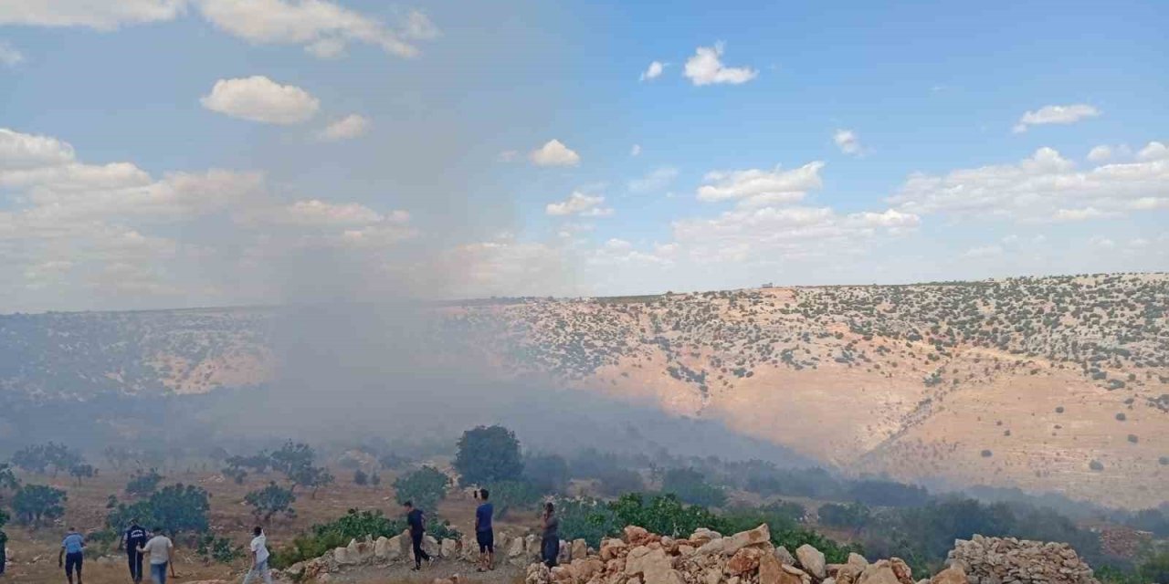 Antep’te fıstık ve zeytin bahçelerinde yangın
