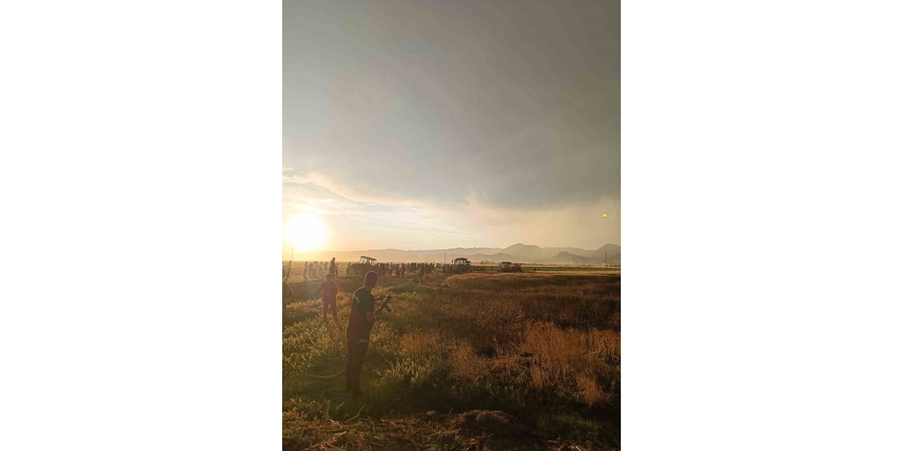 Mardin’de 350 dönüm ekili buğday tarlası küle döndü