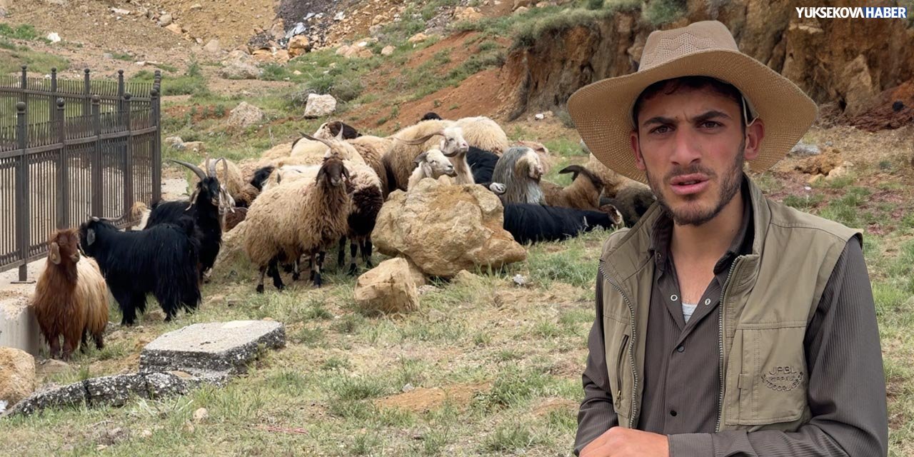 6 aydır bugünü bekliyordu: 20 koyunum vardı, sadece 2'sini yarı fiyatına satabildim