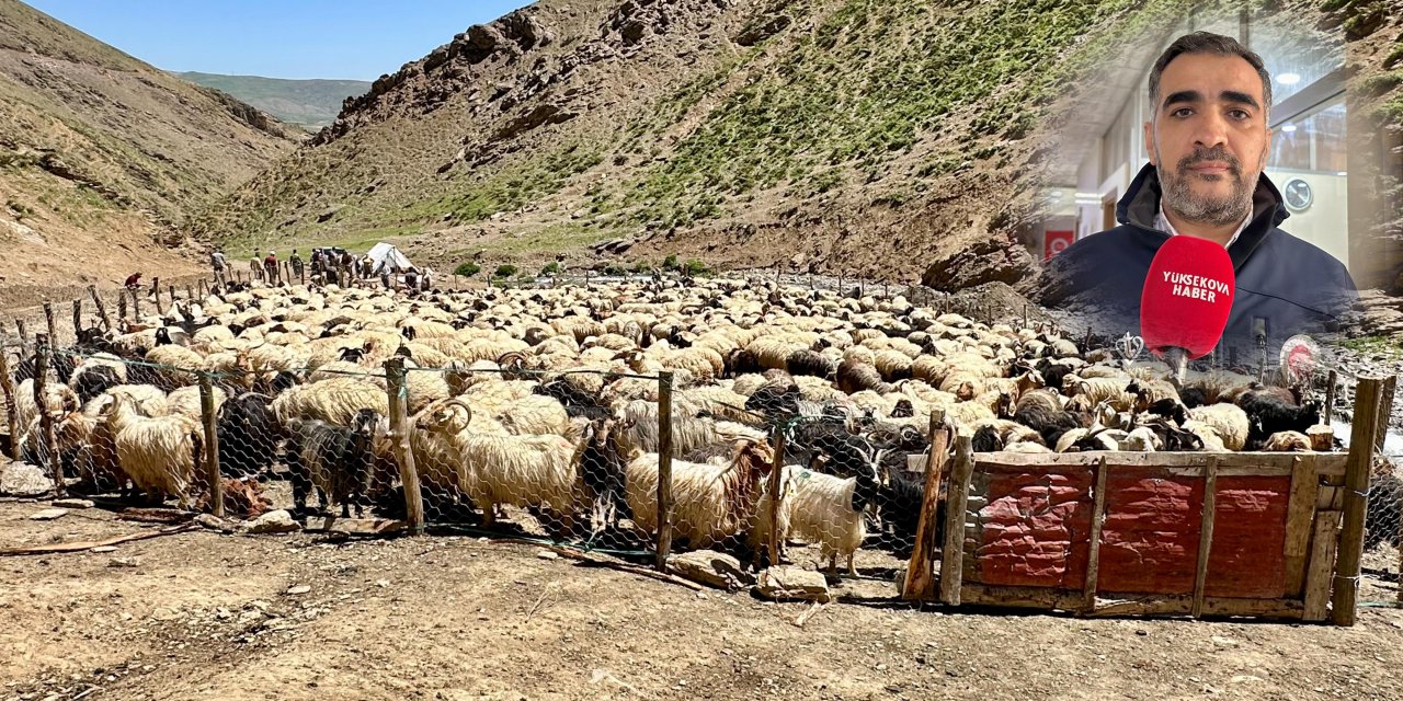 Yüksekova Müftüsü Sevük: "Kurban kesimi sadece belirlenen alanlarda yapılmalı"