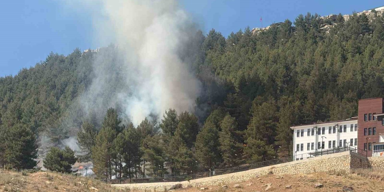 Adıyaman'da ormanlık alanda yangın çıktı