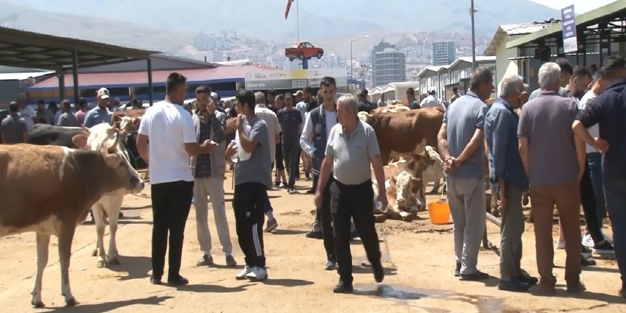 Malatya Canlı Hayvan Pazarı’nda yoğunluk