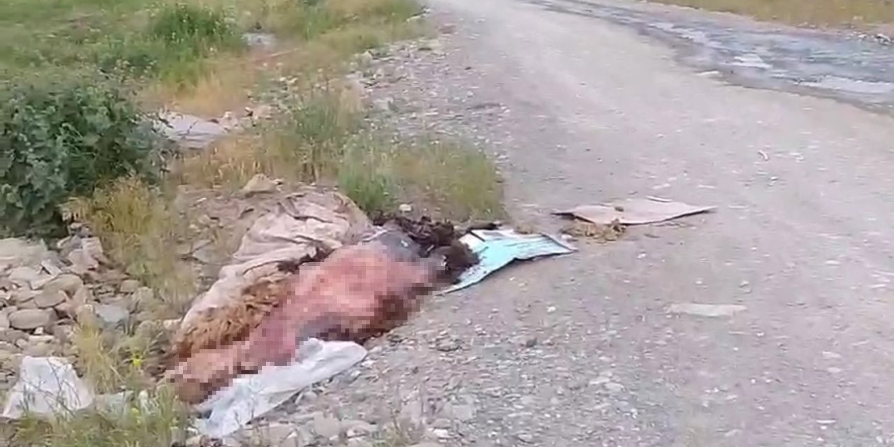 Sakatatların yol kenarına attılar