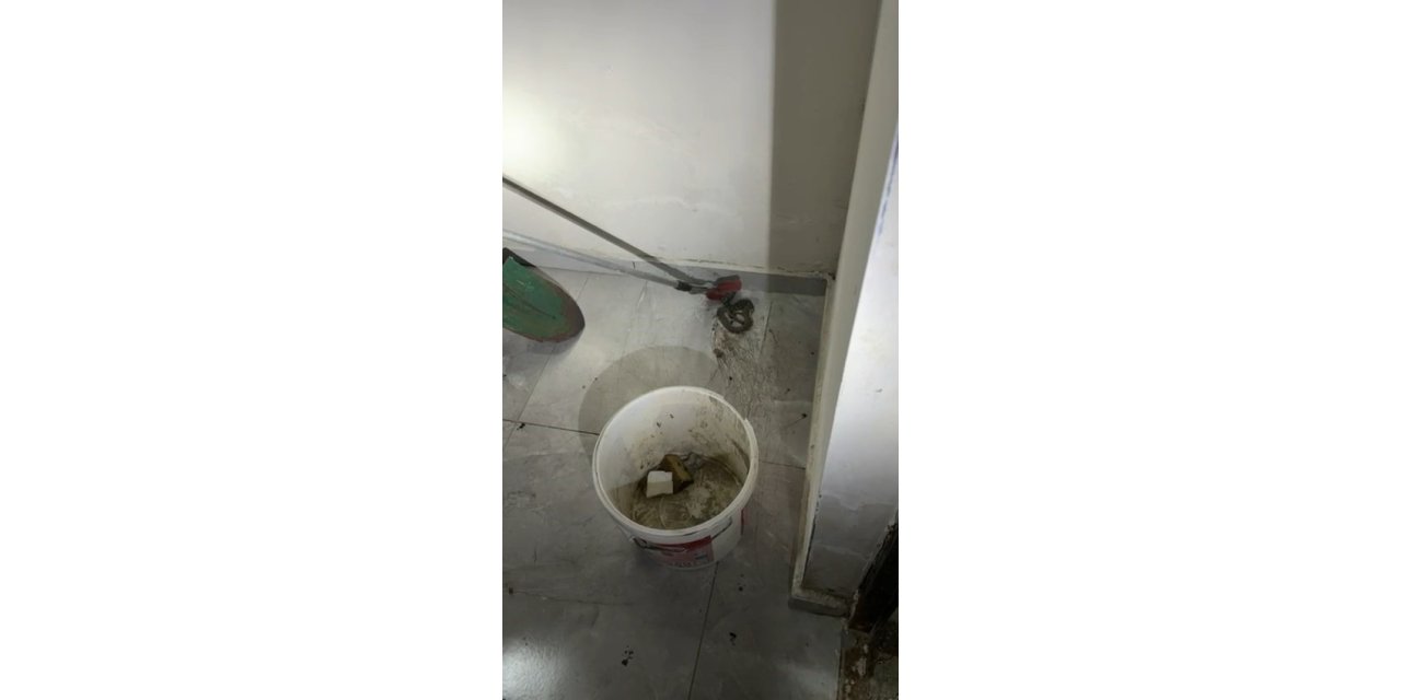 Apartmanda görülen yılan paniğe neden oldu