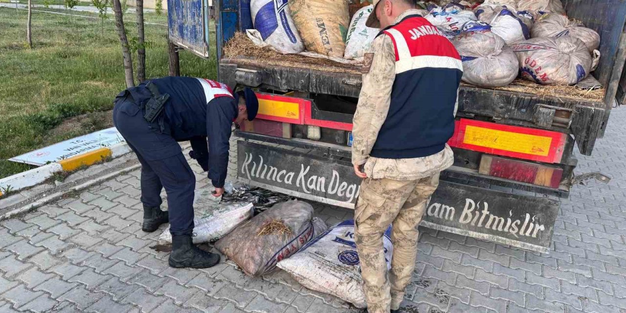 Muradiye'de 19 ton 200 kilo inci kefali balığı ele geçirildi