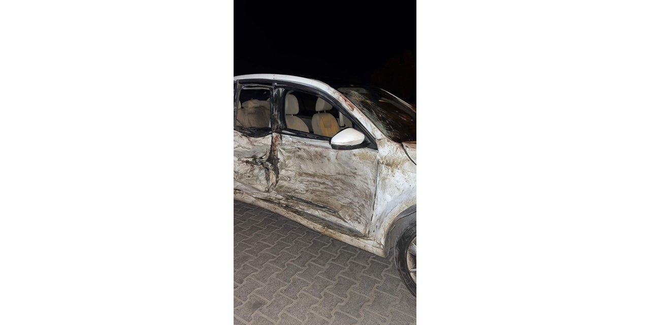 Şanlıurfa'da devrilen otomobilin sürücüsü yaralandı
