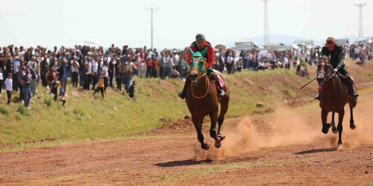 Hınıs’ta geleneksel At Yarışı Festivali düzenlendi
