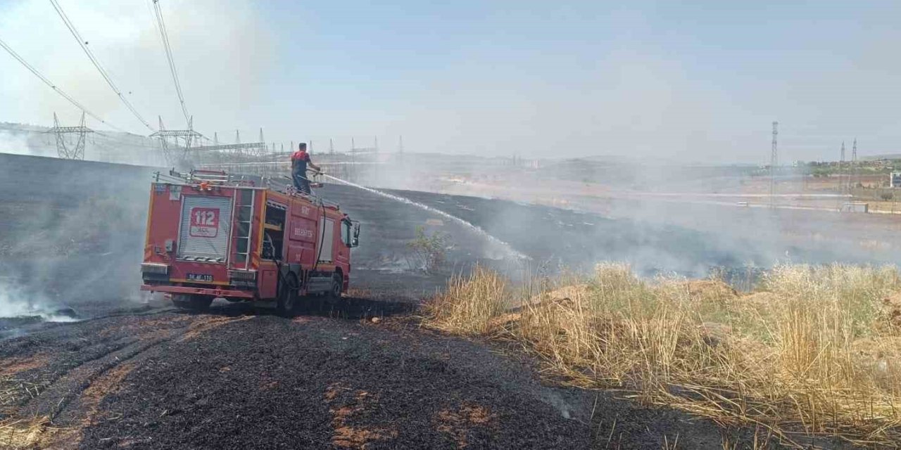 Siirt’teki yangında ekili alanlar zarar gördü