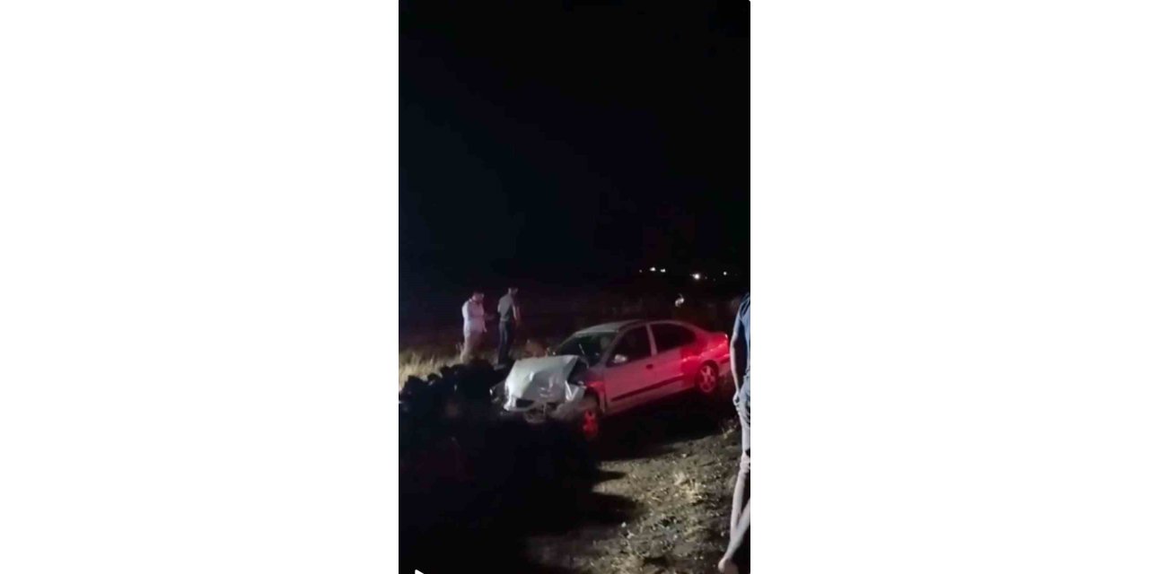 Siverek’te kontrolden çıkan otomobil şarampole girdi