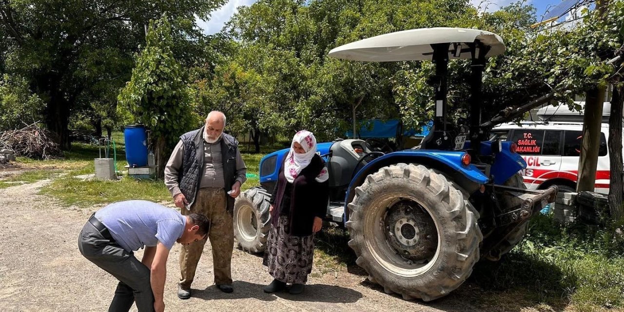 Doğada bulunurken kenelere dikkat