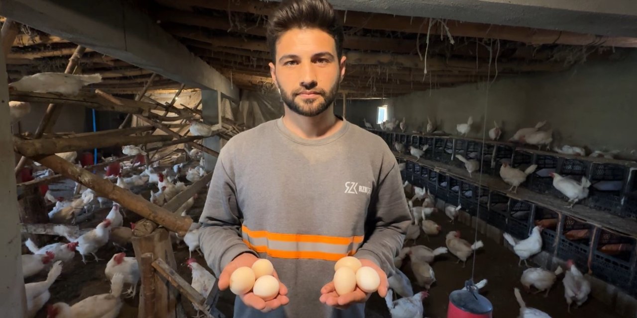Yüksekovalı genç köyde kurduğu çiftlikle yumurta üretimine başladı