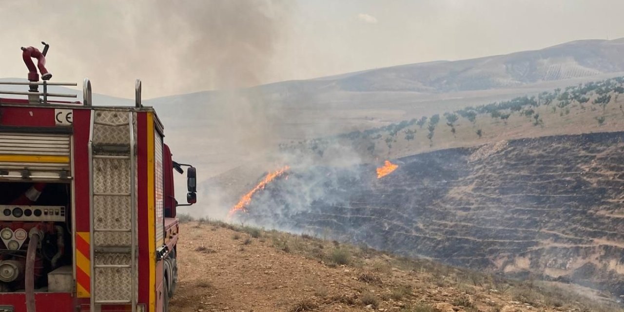 Şanlıurfa’daki orman yangınına müdahale