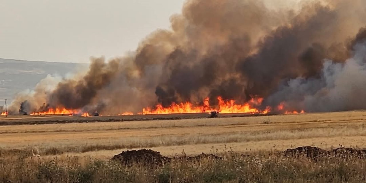Araban Ovası’nda 2 bin dönüm ekili alan yandı