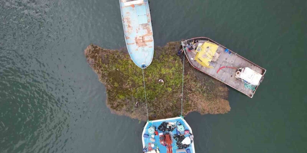 Tabiat varlığı yüzen adalar barajın ortasına sabitleniyor
