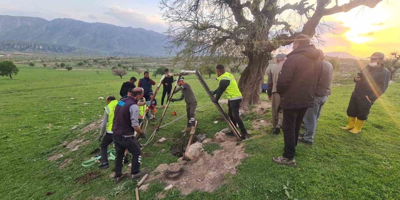 Siirt'te kuyuya düşen dana kurtarıldı