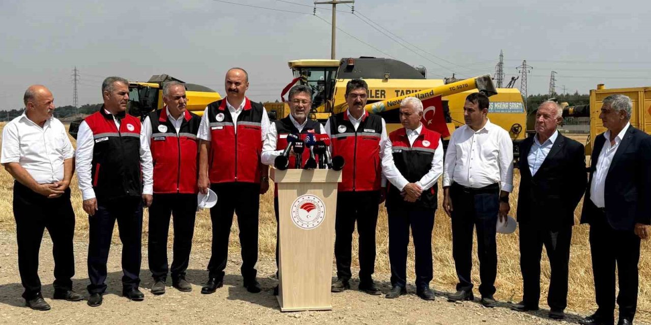 Batman’da buğday hasadı başladı