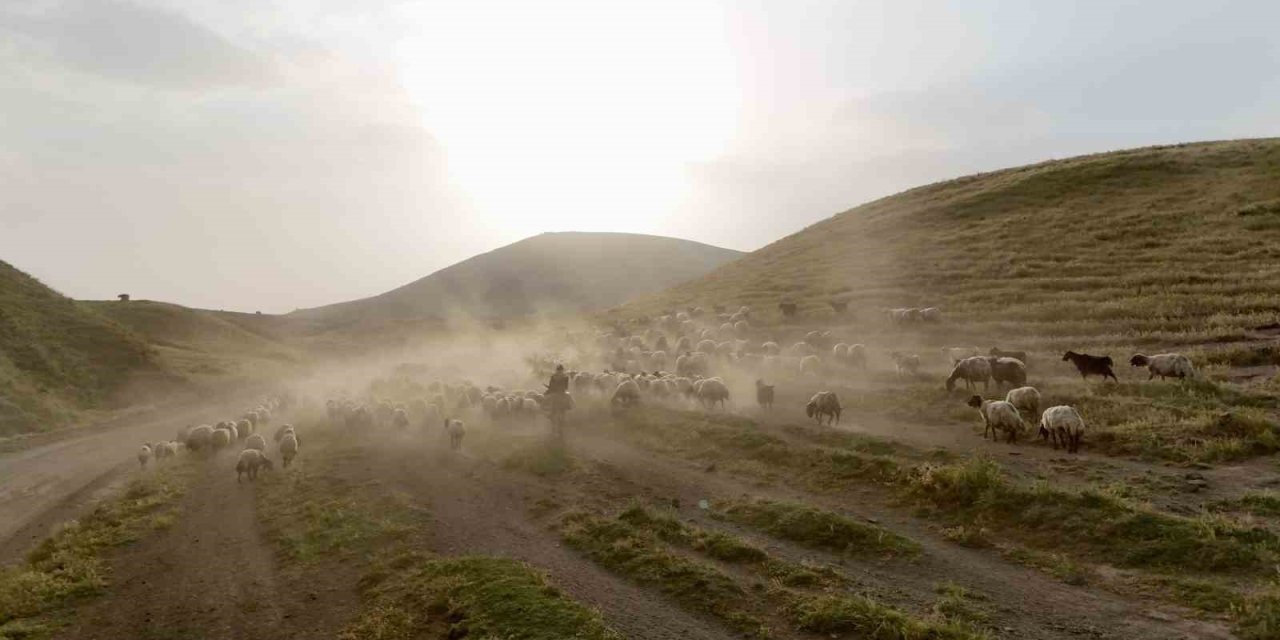 Bitlis'te sürülerin geleneksel tozlu yolculuğu başladı