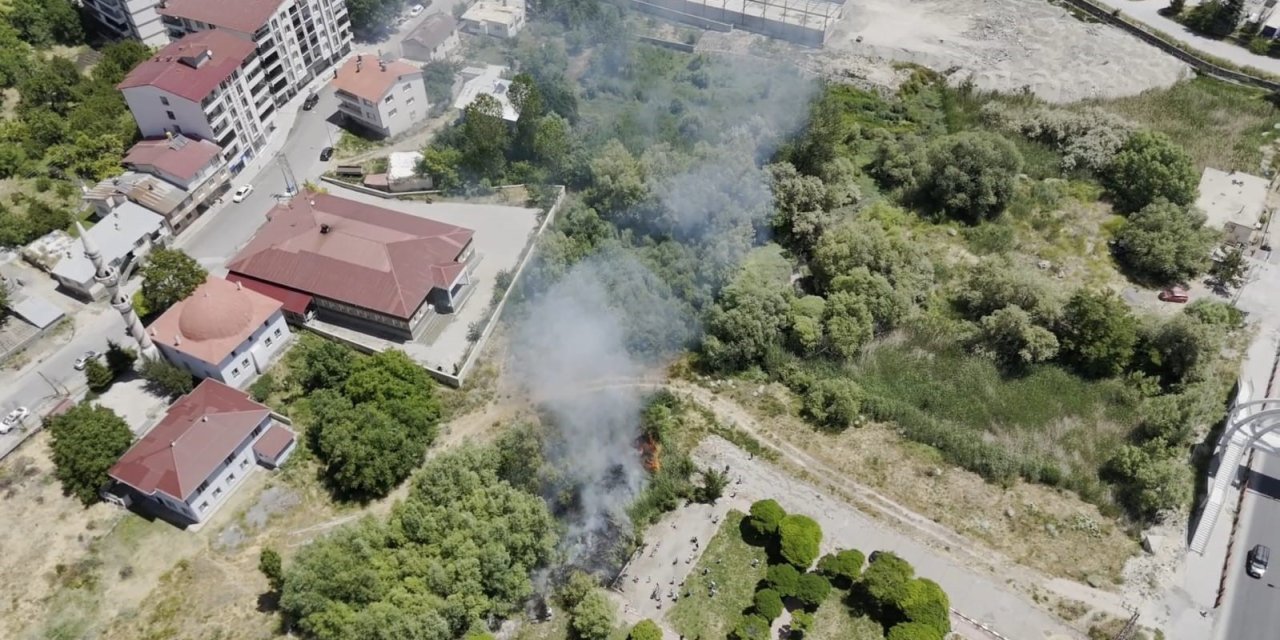 Van Gölü sahilinde yangın paniği