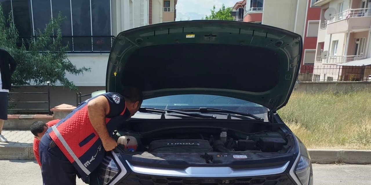 Otomobilin kaput kısmına sıkışan yavru kediler ekipler tarafından kurtarıldı