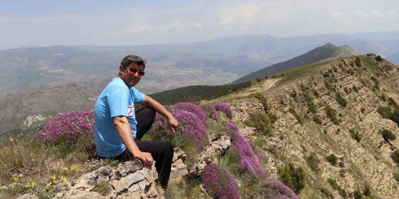 Erzurum'da fuşya renkli görsel şölen