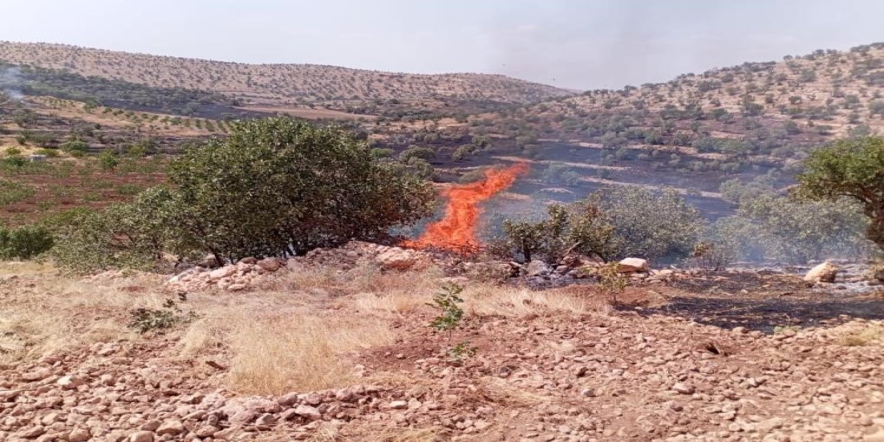 Mardin’de çıkan anız ve orman yangınları kontrol altına alındı