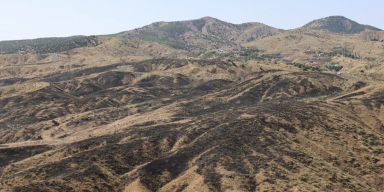 Bingöl’deki orman yangını kontrol altına alındı