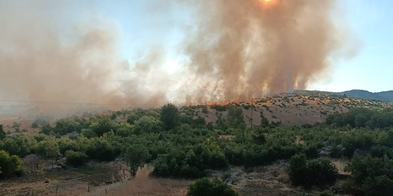 Diyarbakır’da örtü yangını çıktı