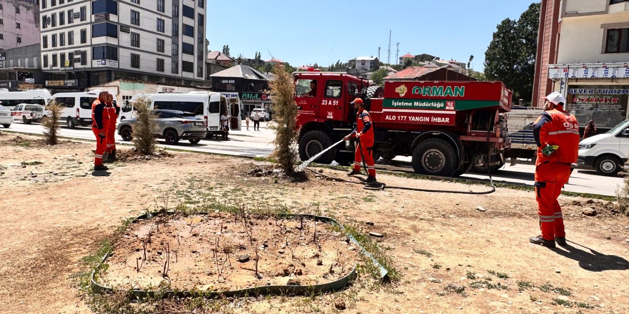 Yüksekova’da fidanlar düzenli olarak sulanıyor