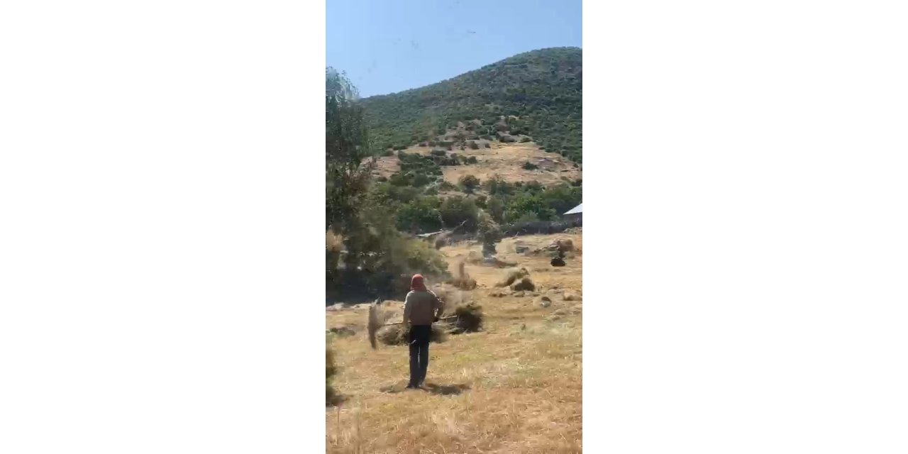 Bingöl’de tarlada çıkan hortum otları uçurdu