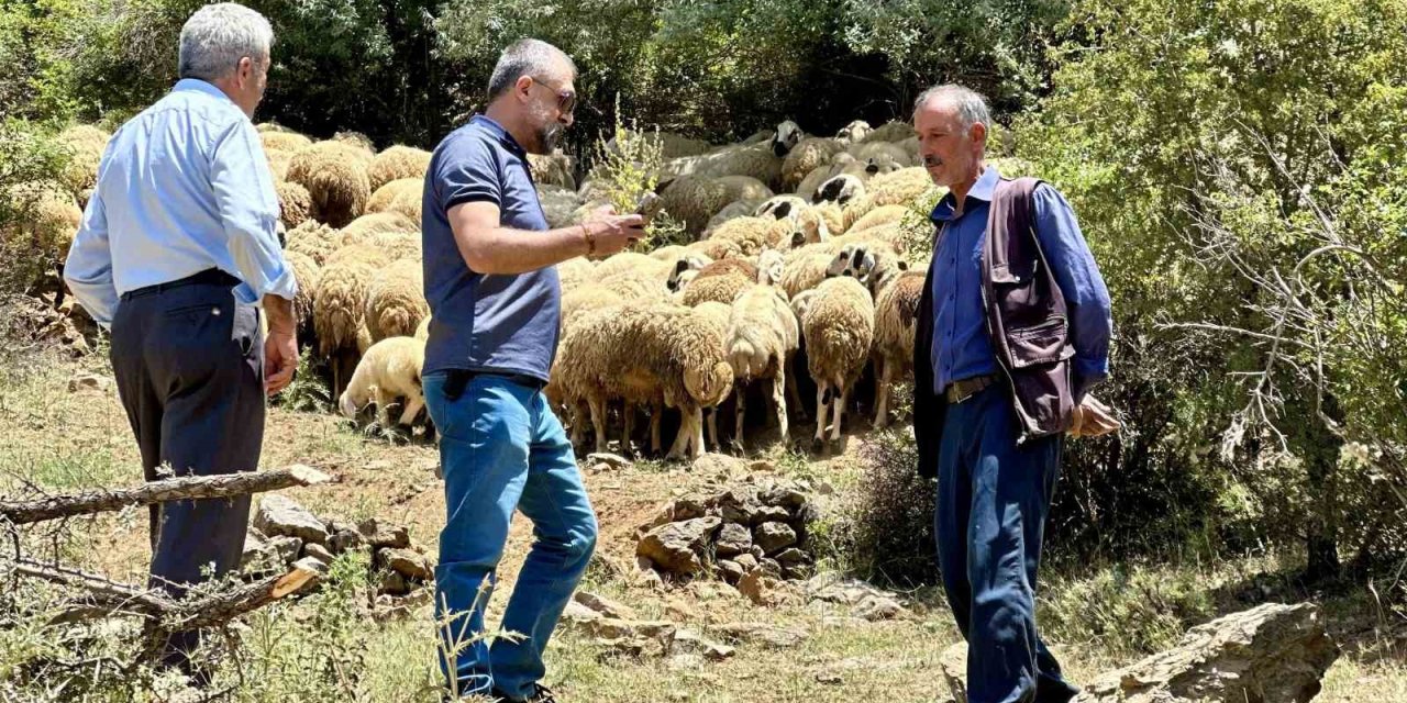 Yaylada zorlu şartlara rağmen üretim sürüyor