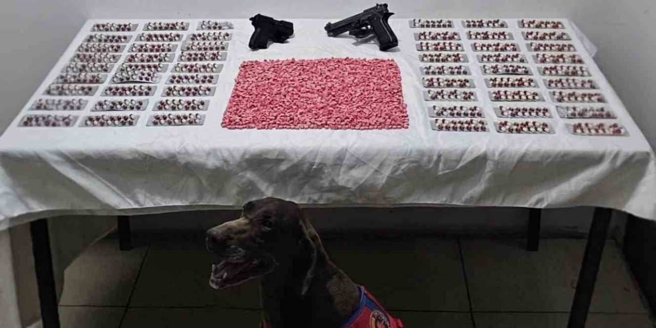 Mardin’de uyuşturucu operasyonunda 2 gözaltı