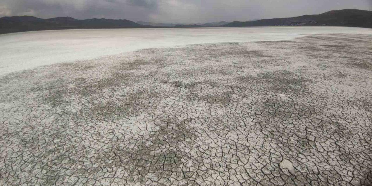 Van'da 407 hektar alana sahip olan Akgöl, bu yıl erken kurudu