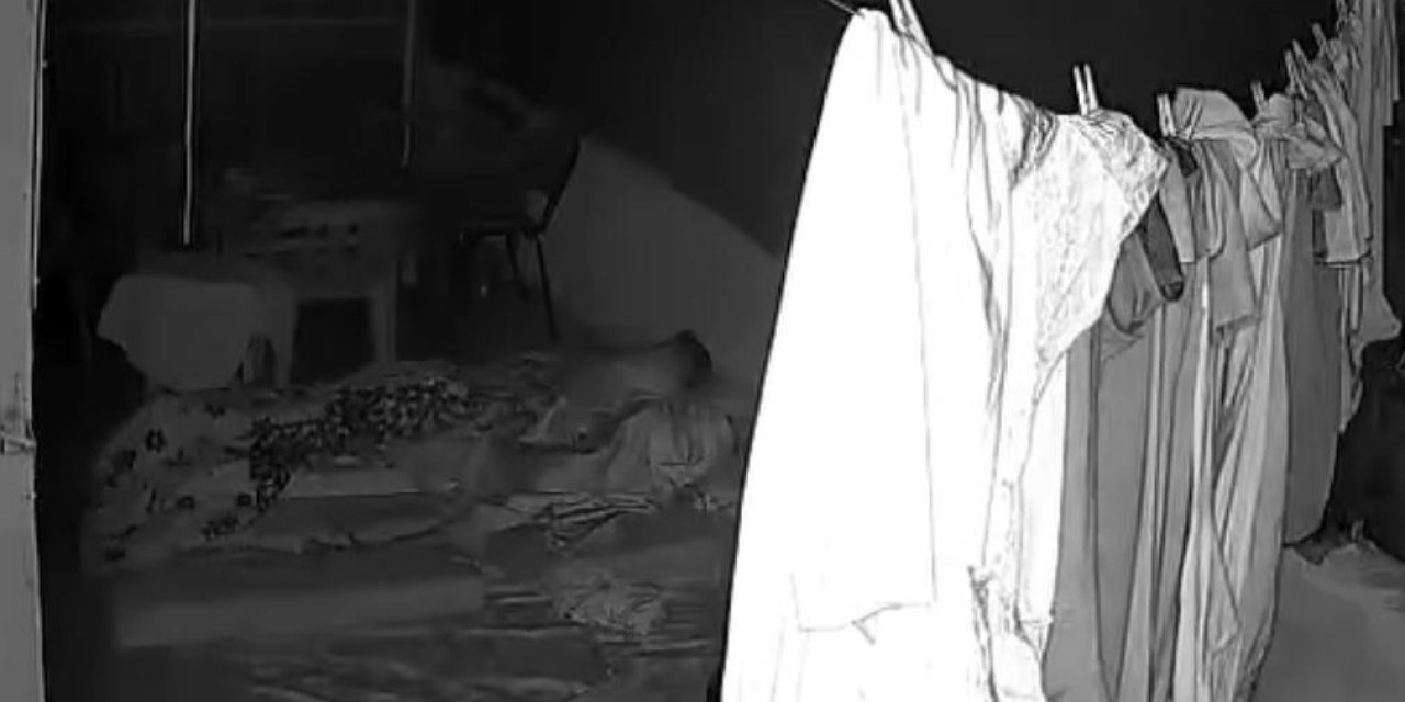 Damda uyuyan kişinin savaş uçağı sesinden korkup içeri kaçtığı anlar kameralarda