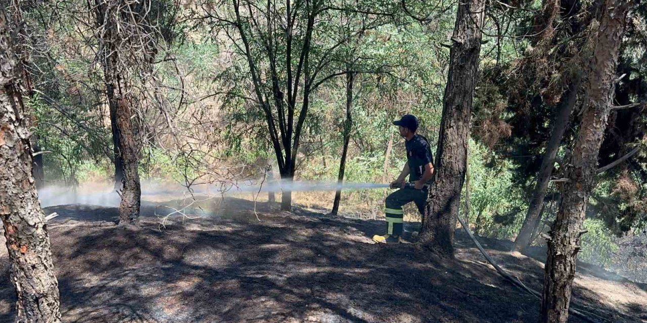 Adıyaman'da çocukların çakmakla oyunu ormanı yaktı