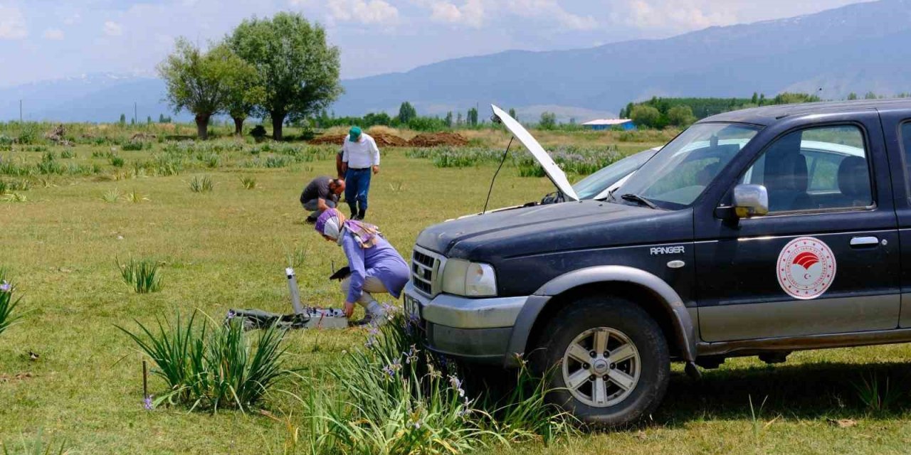 Erzincan'da meralarda su arama çalışmaları