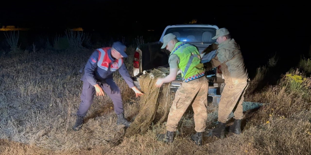 Jandarma ekipleri, Van’da 1,5 ton inci kefali ele geçirdi