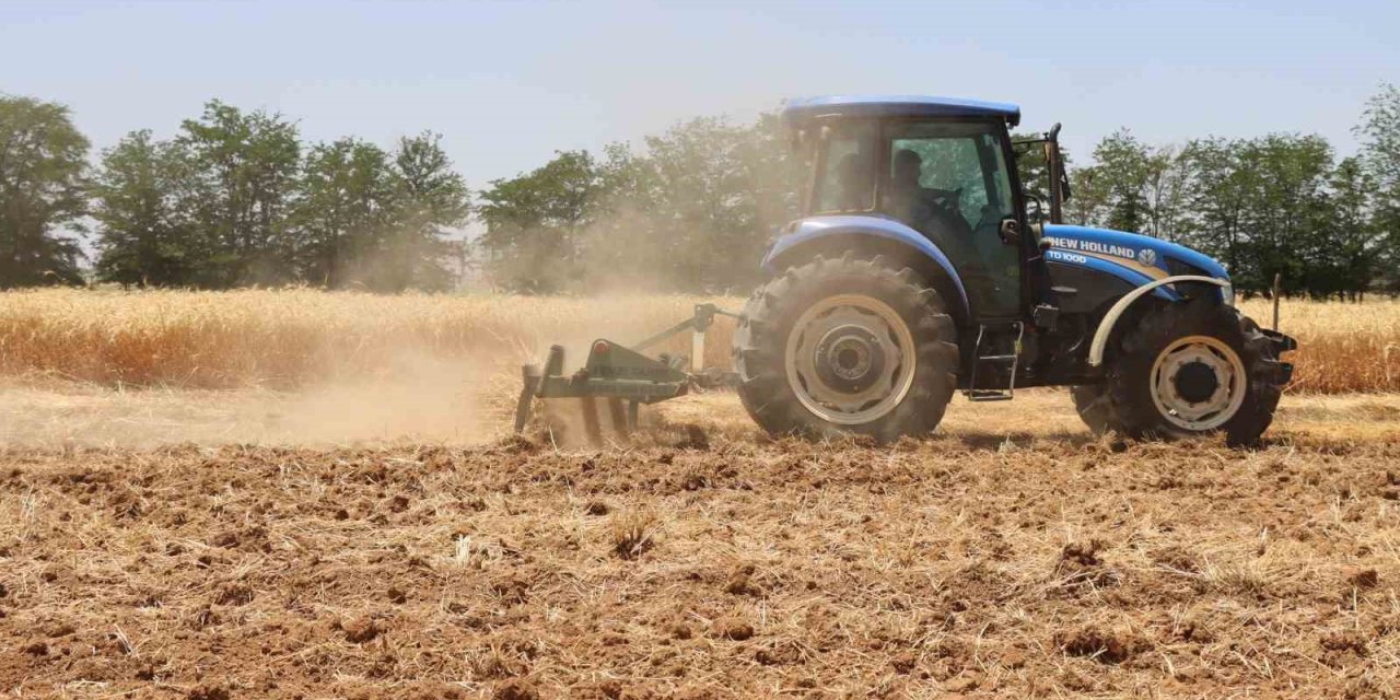 Şanlıurfa Büyükşehir Belediyesi'nde hasat zamanı