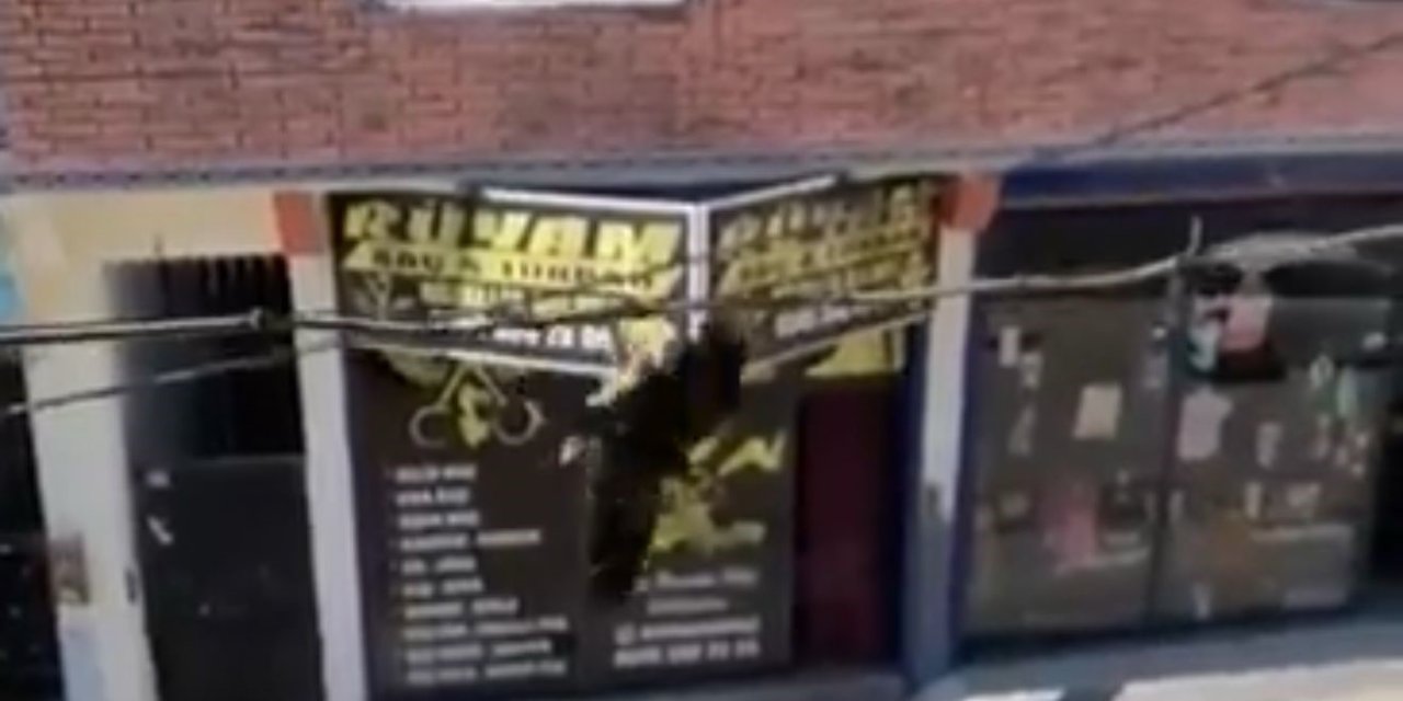 Gaziantep'te tele takılan kuş kurtarılıdı