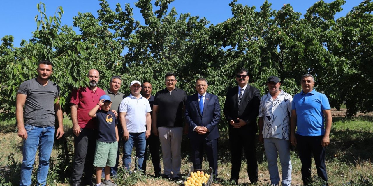 Iğdır Üniversitesi uygulama bahçesinde "Kayısı Hasadı Etkinliği" yapıldı
