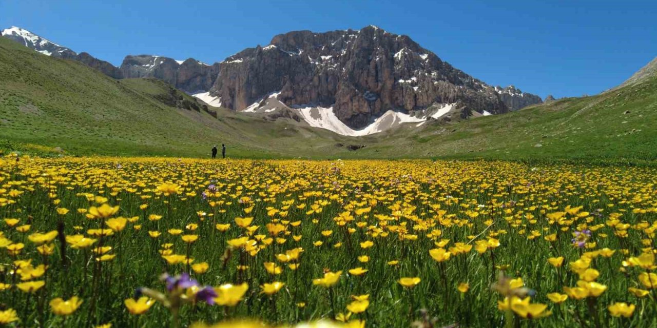 Merg Yaylası,  doğaseverlere ev sahipli yapıyor