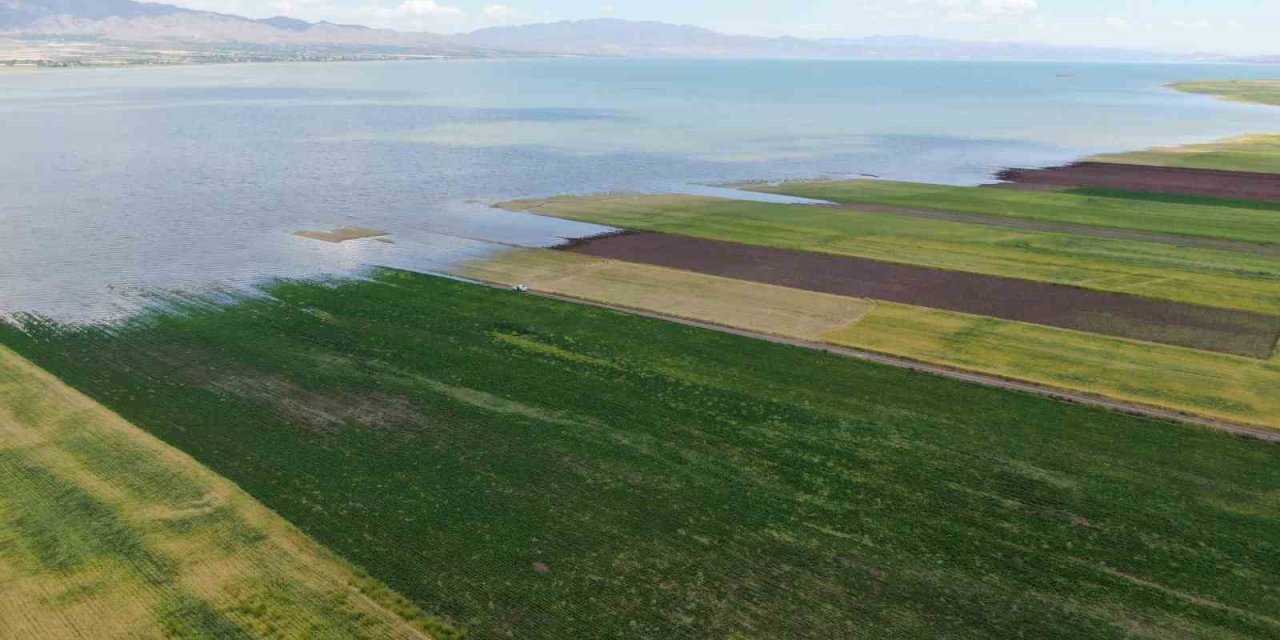Baraj yükseldi, binlerce dönüm ekili alan su altında kaldı