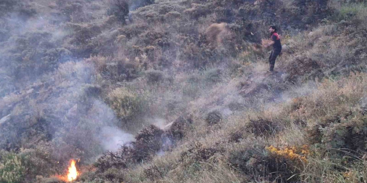 Bingöl’de ağaçlık alanda yangın çıktı