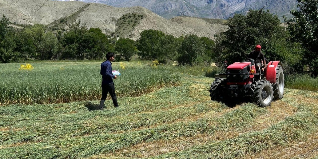 Erzincan genelinde yem bitkisi kontrolleri start verdi